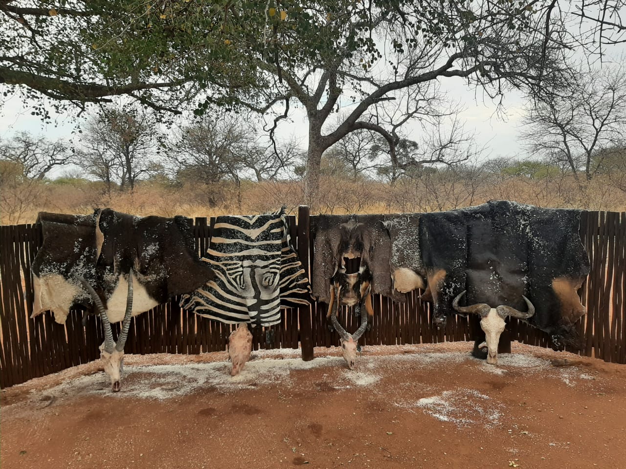 A client next to their hunting trophy