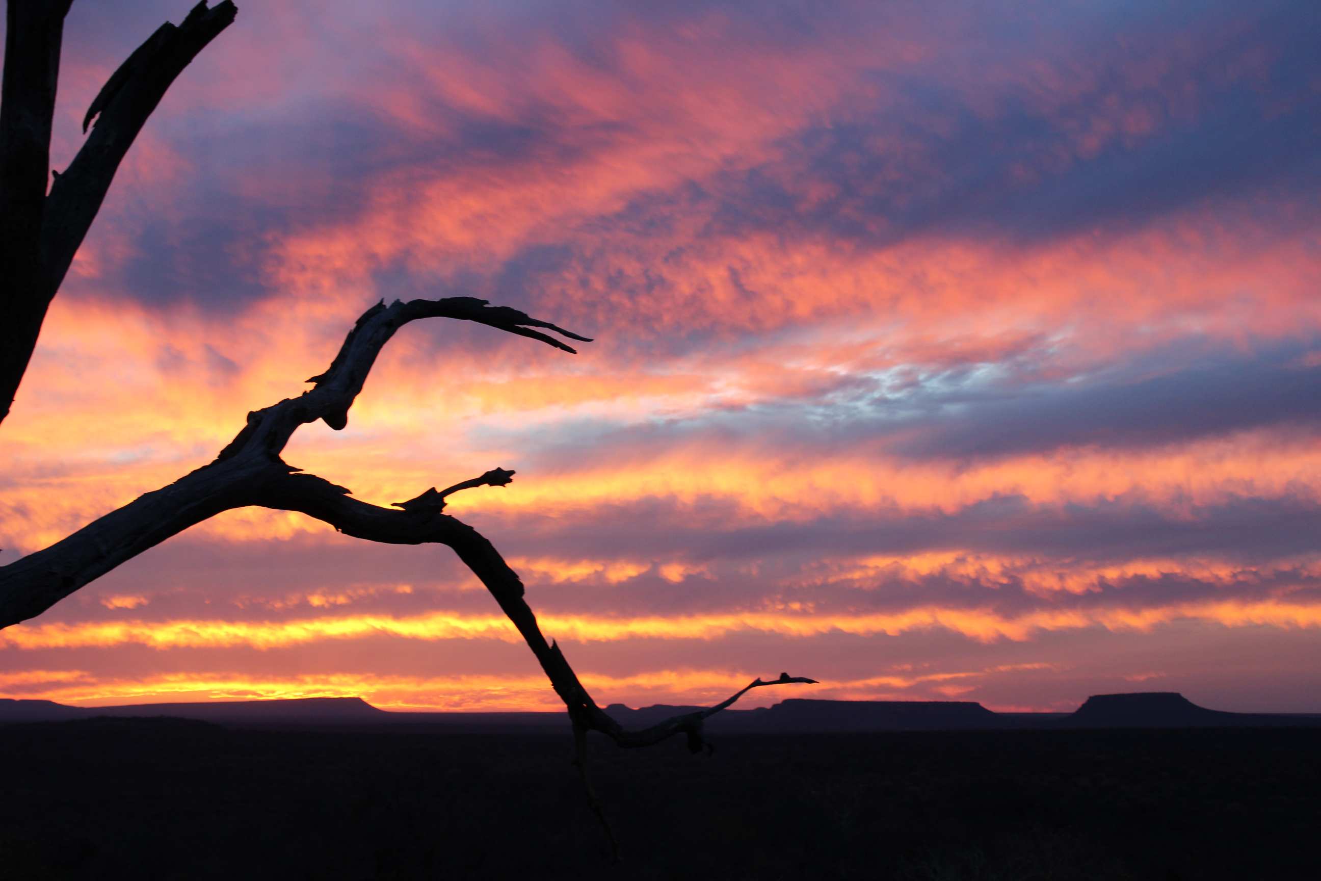Clouds with a sunset, trees and mountains
